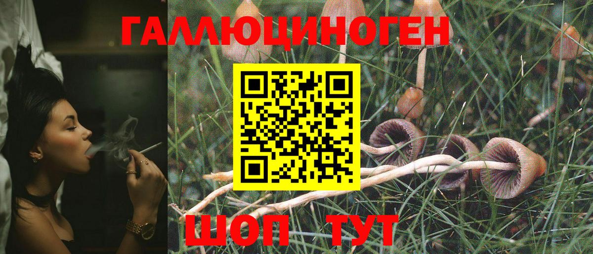 Коломна  Галлюциногенные грибы прущие грибы  Вход с VPN 